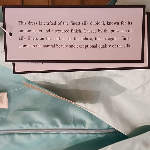 NWT Dupioni silk J Crew Weddings and Parties Dress - Picture 6 of 11